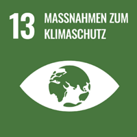 SDG-DE Icon13