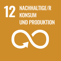 SDG-DE Icon12