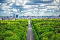 Carretera rodeada de árboles con una ciudad al fondo en el contexto de la presencia global de Kapsch TrafficCom.