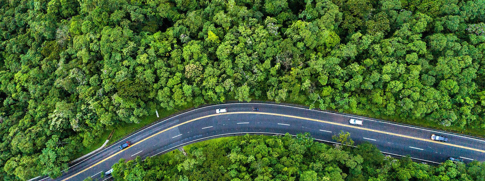 © Kapsch TrafficCom Straße durch einen Wald