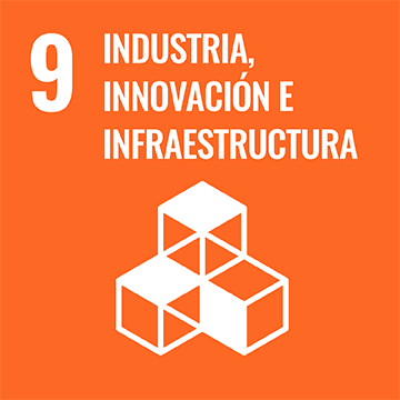 SDG-ES Icon9