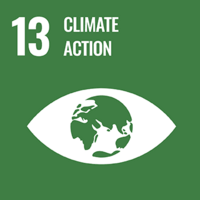 SDG Icon13