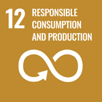 SDG Icon12