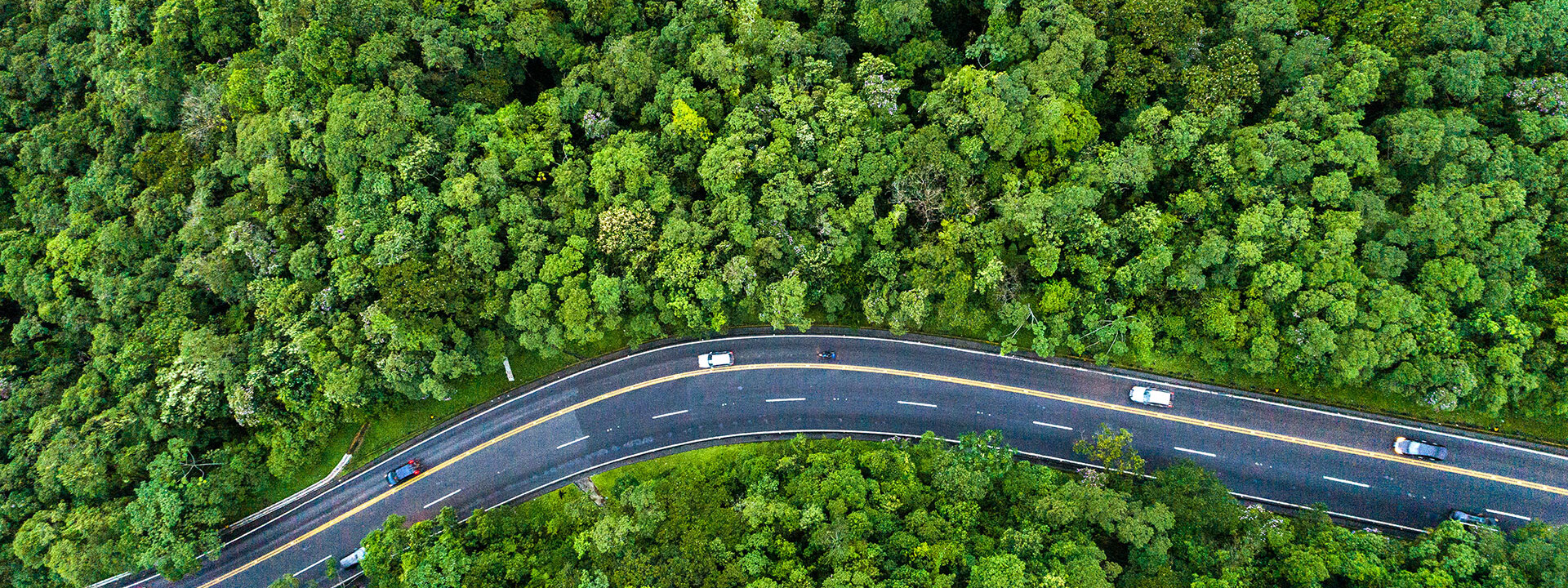 KTC1874 Road on a forest-1920x720