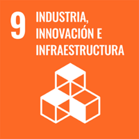 SDG-ES Icon9