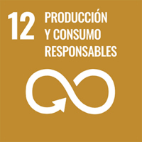 SDG-ES Icon12