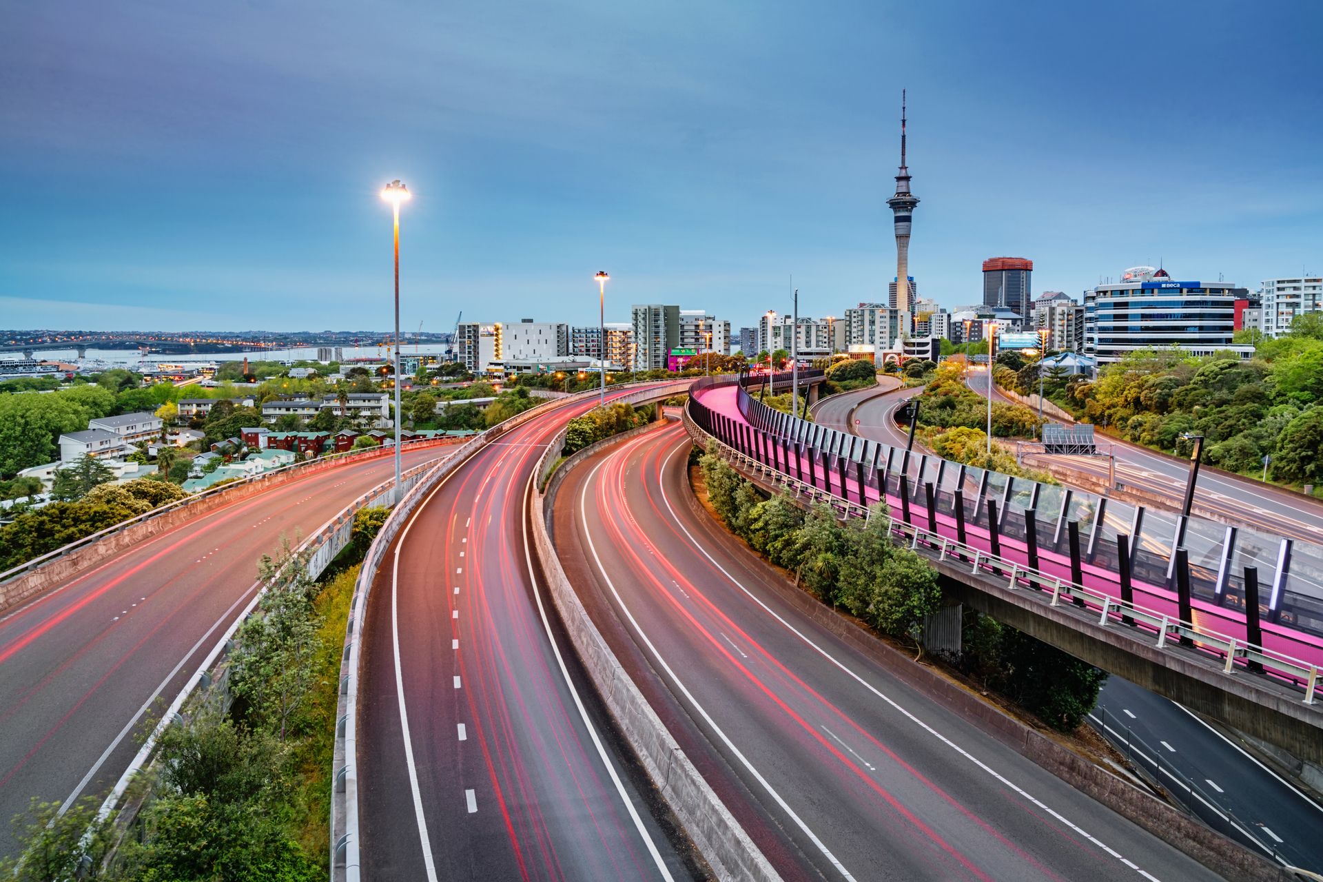 Auckland Light Path Bicycle Lane Highway Traffic New Zealand_(KTC7784).jpg
